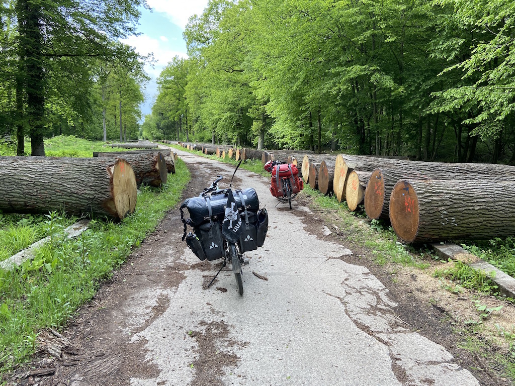 Hebe Bild 5 entlang der Bikemap-Route "14/16 Hameln (Schutzhütte Tünder) - Hagenburg (Steinhuder Meer)" hervor