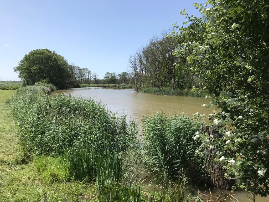 Nationaal Park De Biesbosch rondtje 01