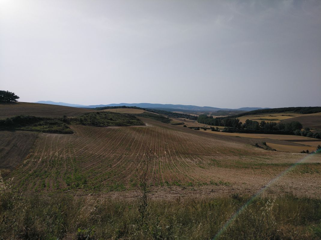 Inmunización 2.1 - Viajando al Paleolítico.