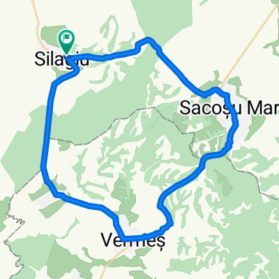 2010 -  Silagiu, Izgar, Sacosu, Silagiu (Cami, Codruta, Marius, Daiana, BB) 