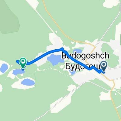 От Исполкомовская улица 38, Будогощь до Unnamed Road, Будогощь