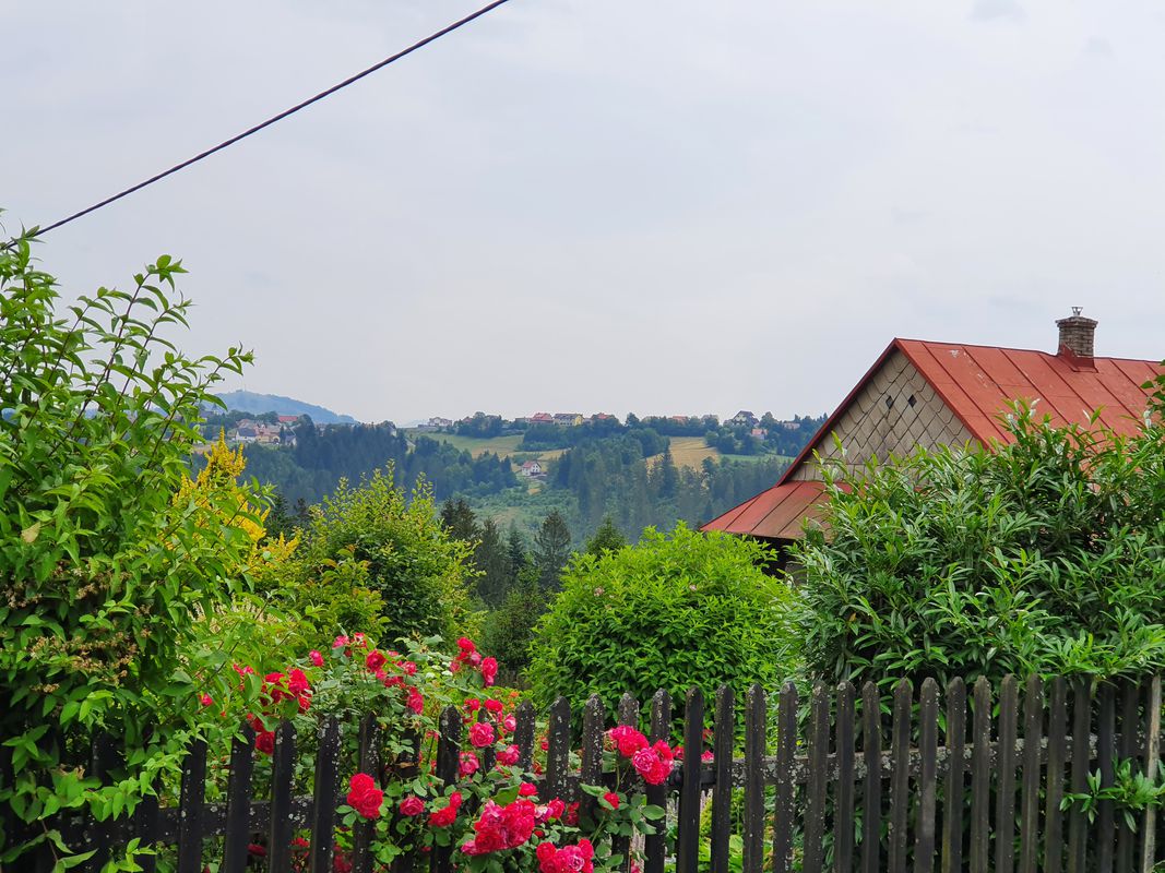 Jaworzynka do Jaworzynka