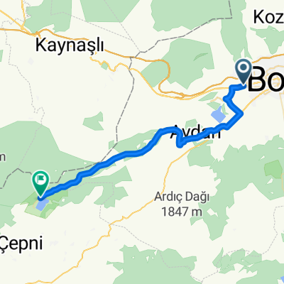 D100 16 to Abant Yolu, Örencik