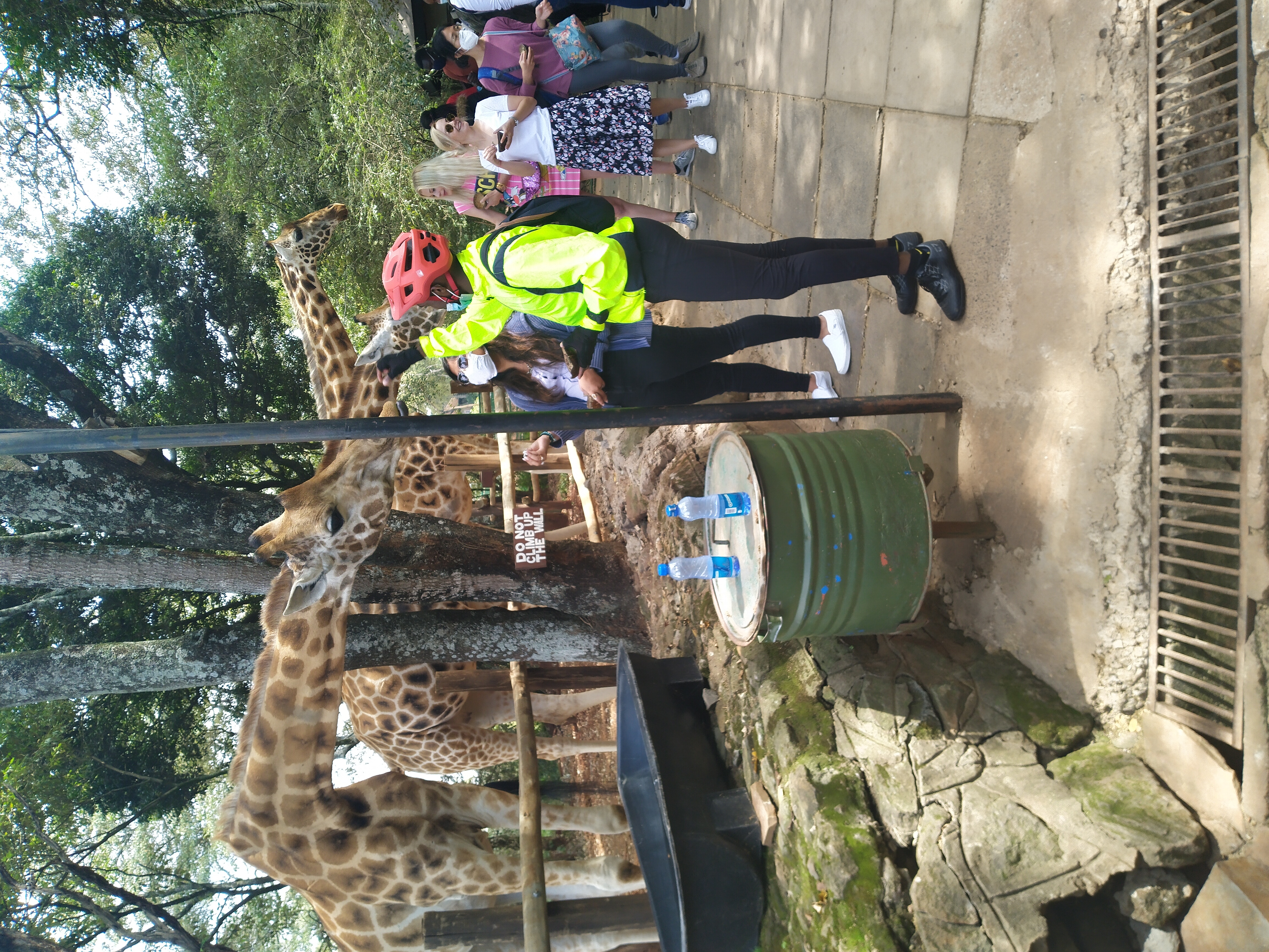 Thindigua to Ngong n back