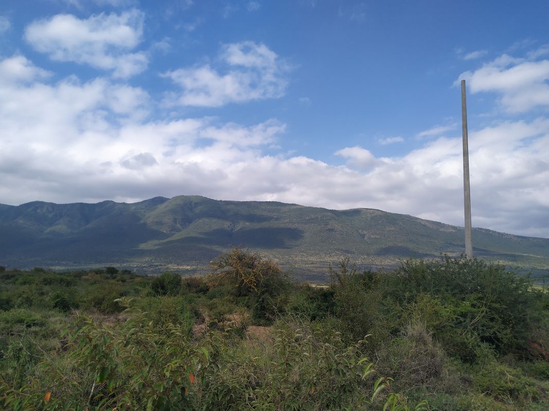 Thindigua to Ngong n back