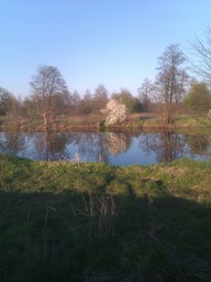 Highlight 12 along the Bikemap route "Kalisz-Zydow-Kalisz nad Prosna GPS"