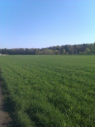 Highlight 4 along the Bikemap route "Kalisz-Zydow-Kalisz nad Prosna GPS"