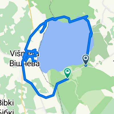 вокруг вишневского