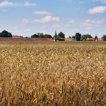 Südsee mit Okerauen