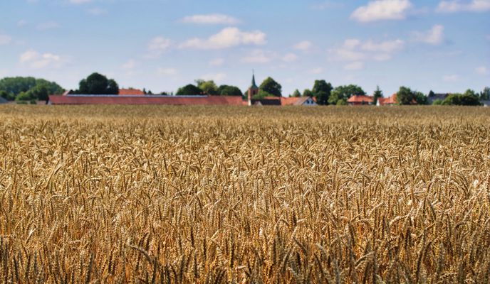 Foto 1 der Bikemap-Route "Südsee mit Okerauen"