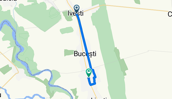 DJ254, Iveşti to Strada Anghel Saligny, Lieşti