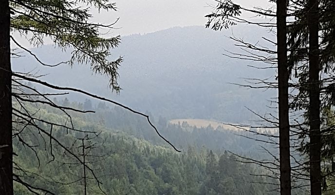 Foto 1 de la ruta de Bikemap "Lanškrounská 15 do Lanškrounská 15"