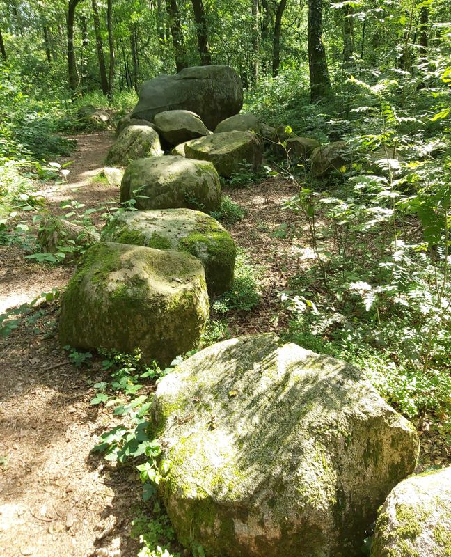 Thuine-Freren Hünensteine-Saller See-Thuine--Natur PUR