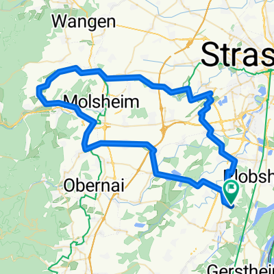 17% Rosheim