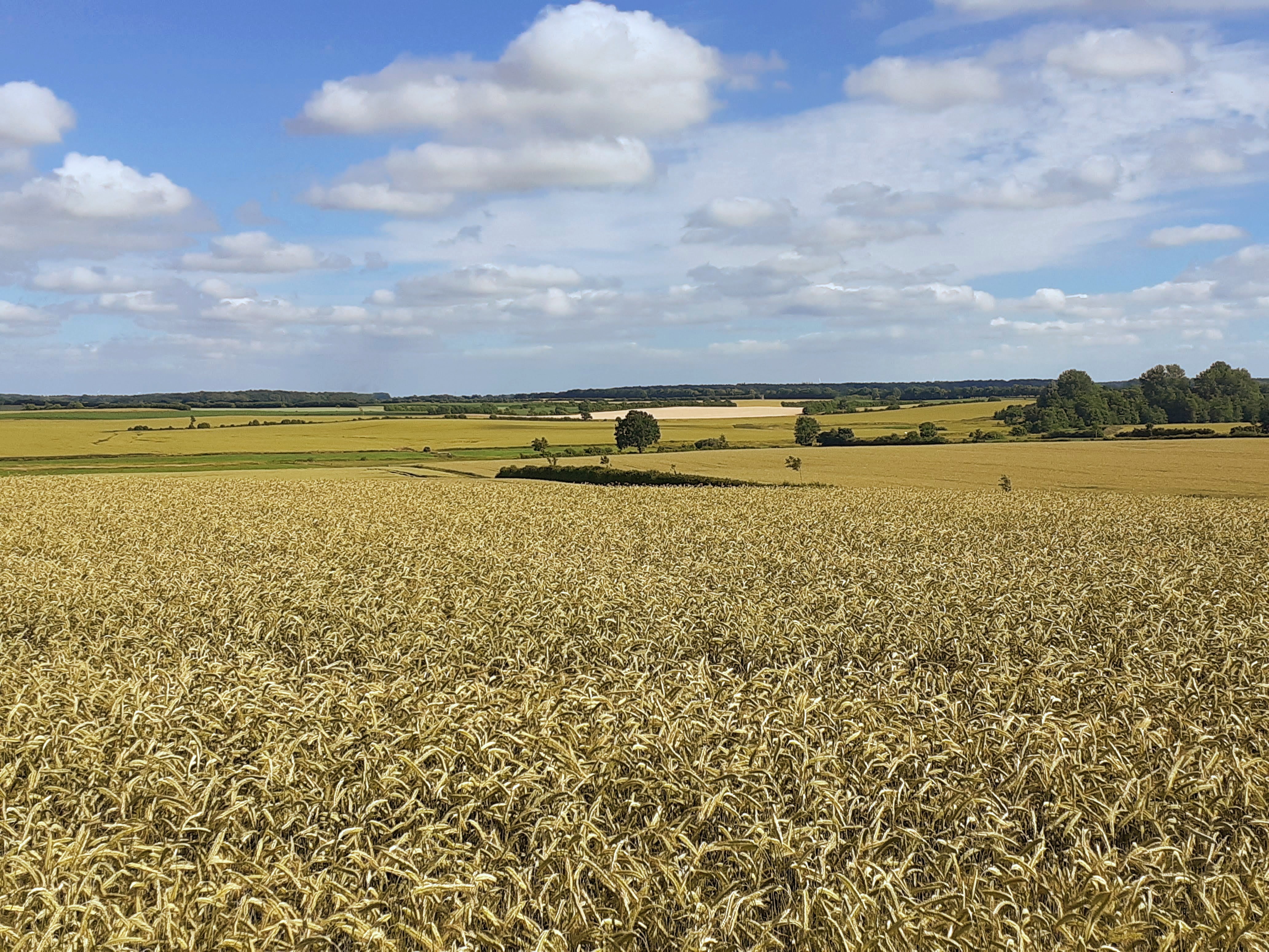 Point fort 2 sur l’itinéraire Bikemap « Eidertal und Dosenmoor » Point fort 2 sur l’itinéraire Bikemap « Eidertal und Dosenmoor »