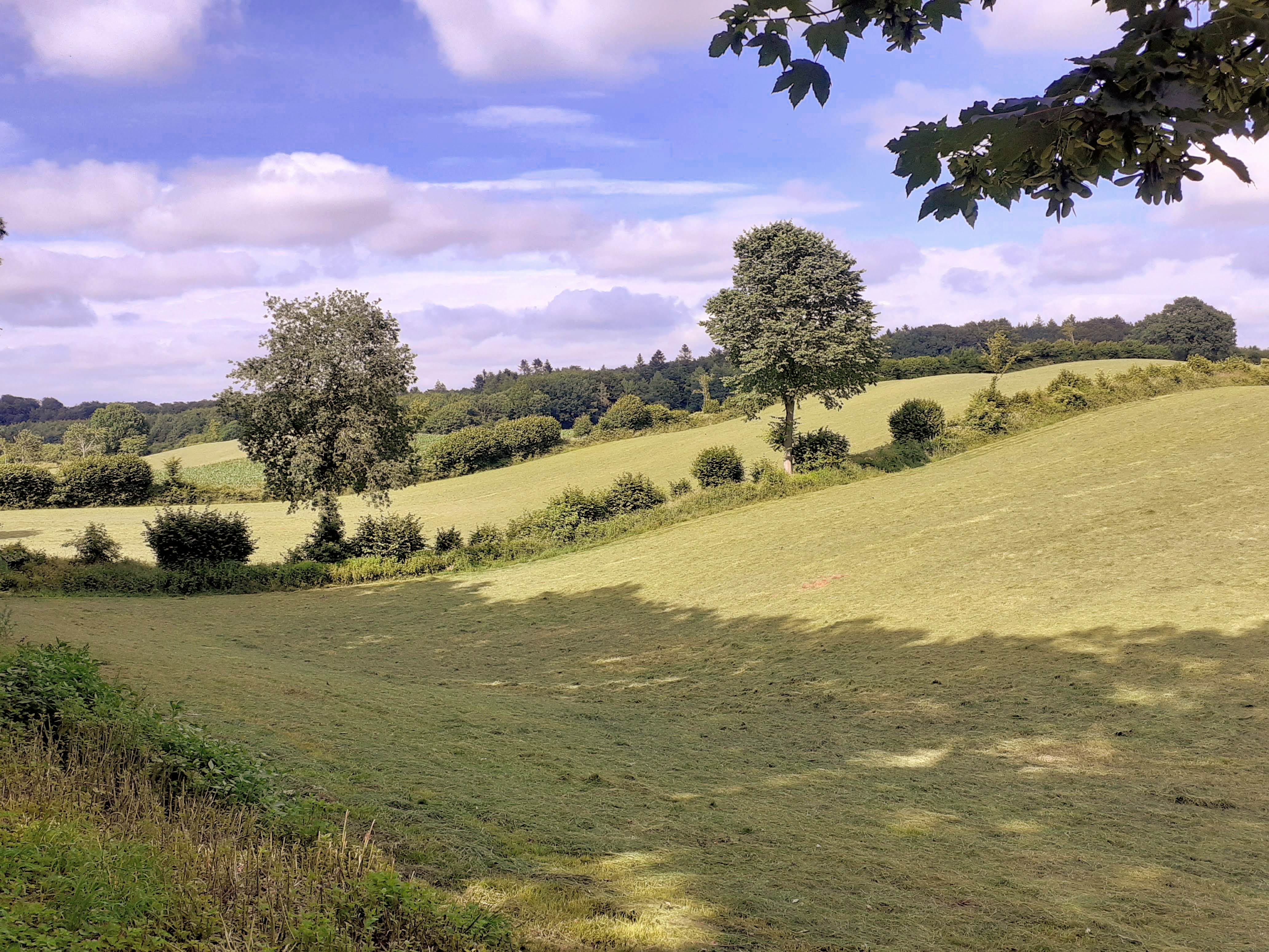 Point fort 1 sur l’itinéraire Bikemap « Eidertal und Dosenmoor » Point fort 1 sur l’itinéraire Bikemap « Eidertal und Dosenmoor »