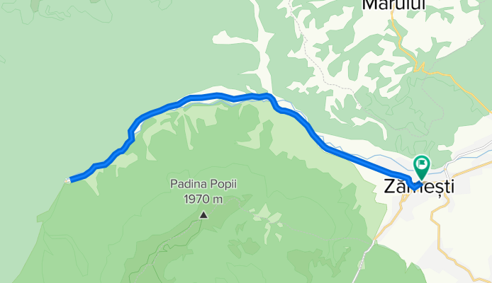 NC Copii 2021 - A - Fond