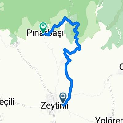 davut mehmet alan pınarbaşı