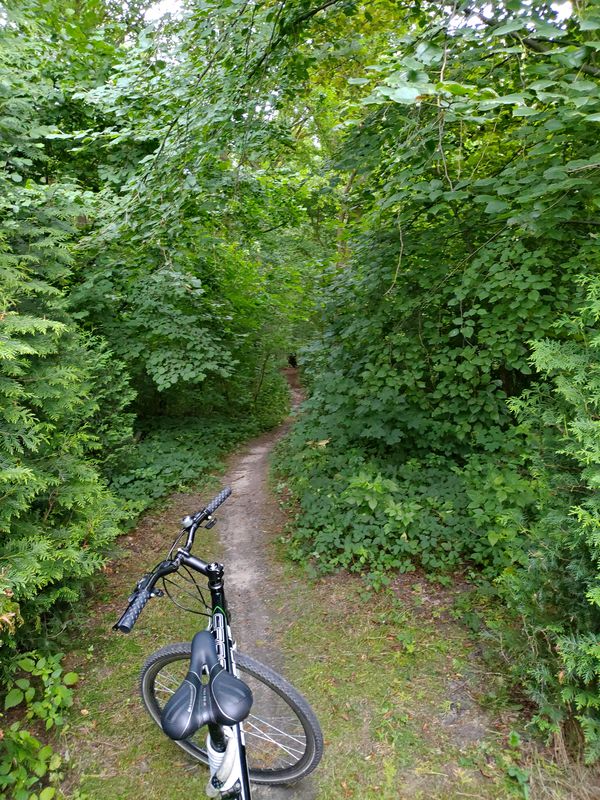 Crossroad przez Giera艂towice, Knur贸w i lasy