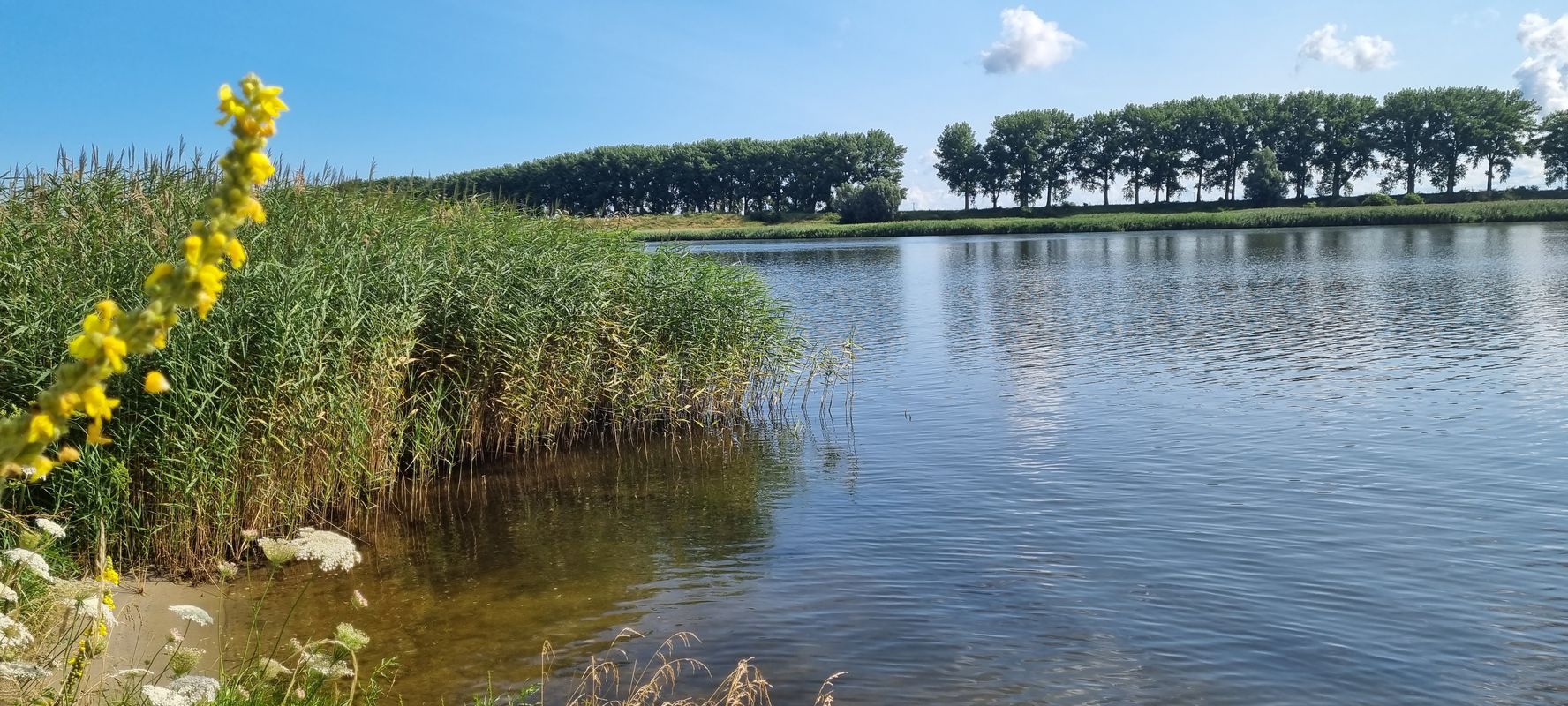 Świbnieńska 92, Gdańsk do Świbnieńska 94, Gdańsk