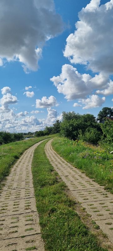 Świbnieńska 92, Gdańsk do Świbnieńska 94, Gdańsk