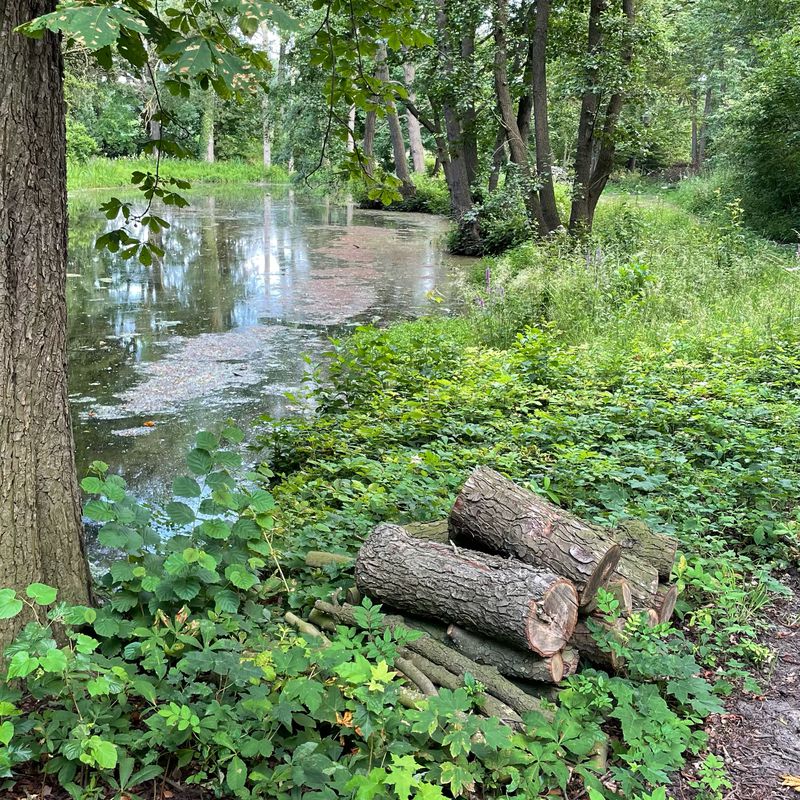 Auf dem Brink 15, Bielefeld nach Auf dem Brink 15, Bielefeld