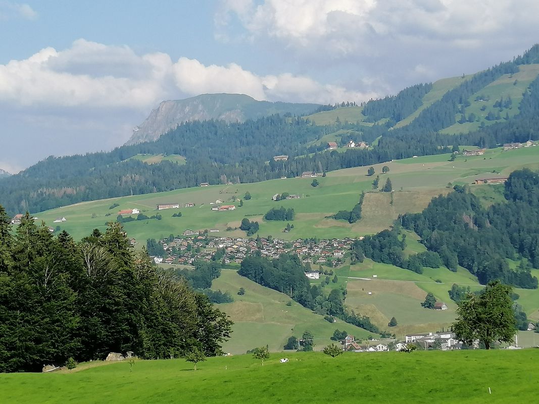 Firabe-Tüürli 20.07.21