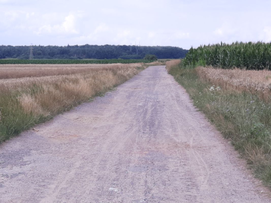 Lipińska, Chorzów do Orzechowa, Skorochów