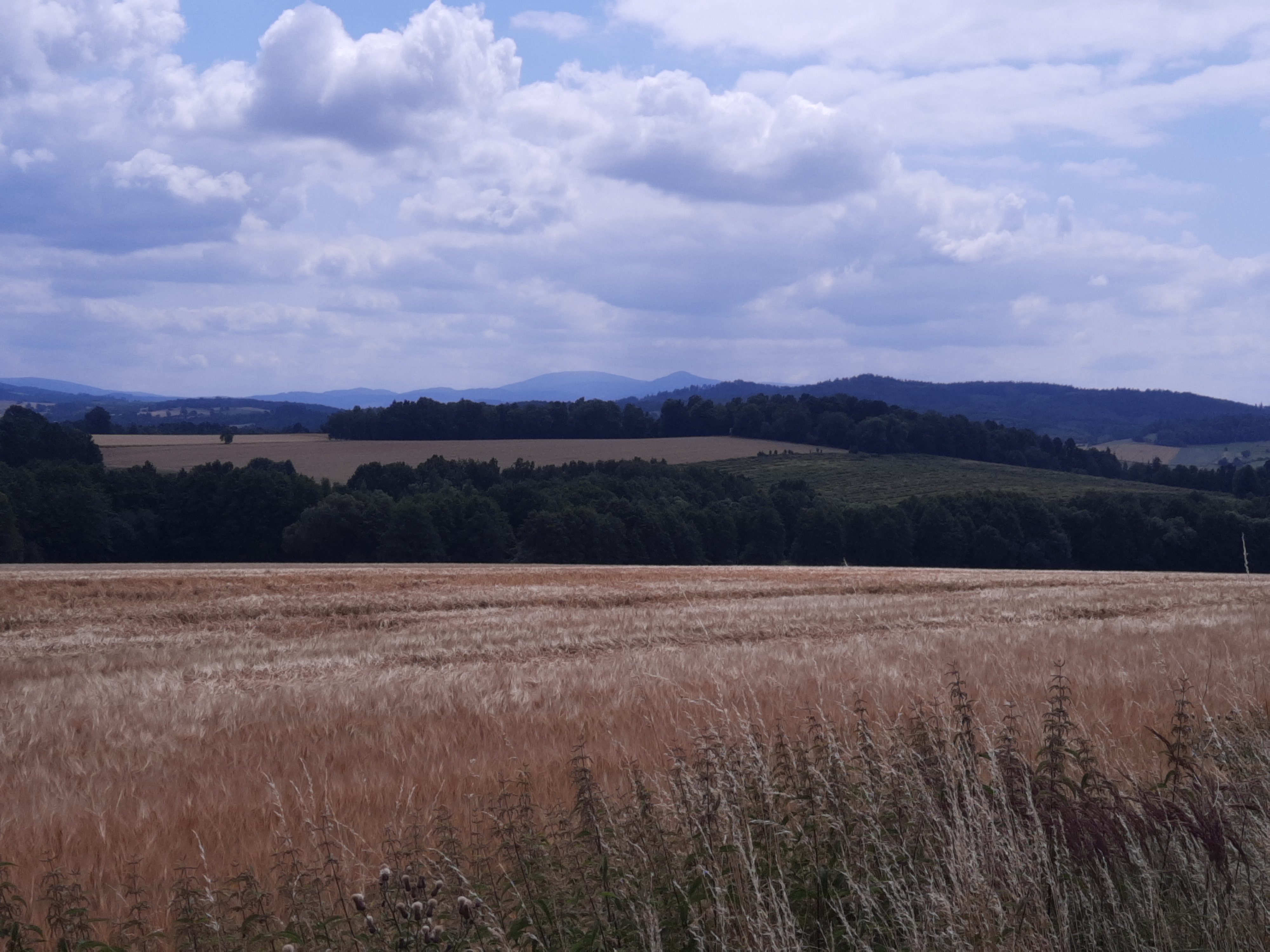 Nysa - Romanowo.