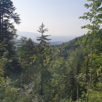 Foto 7 der Bikemap-Route "Lustenauer Straße 1, Dornbirn nach Hintere Achmühlerstraße 1a, Dornbirn"