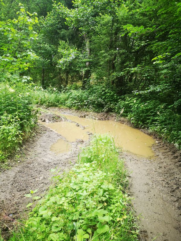 Bärenbachweg 12, Braunlage nach Am Bahnhof 2, Braunlage