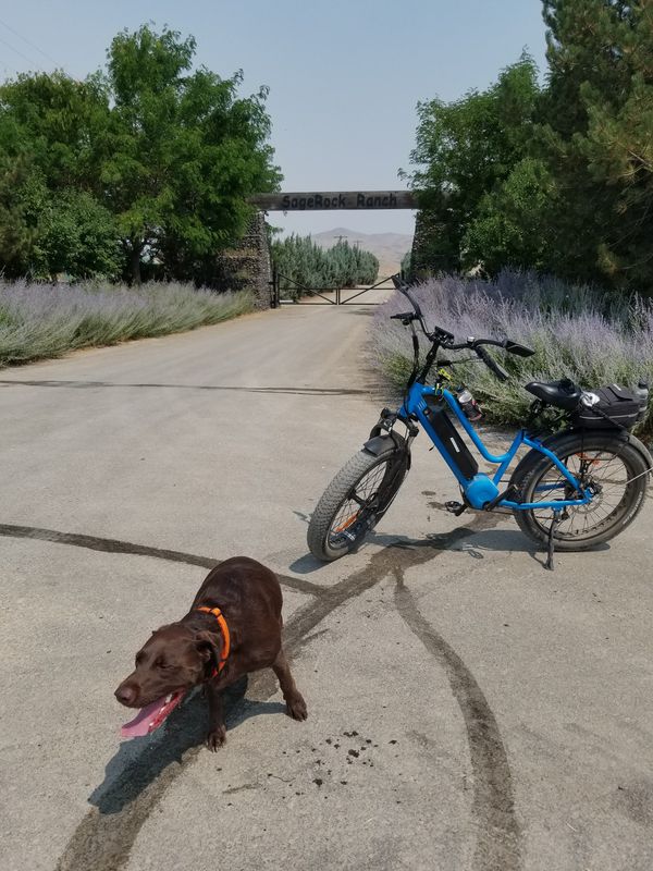 A July 2021 ride in