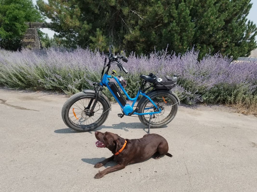 A July 2021 ride in