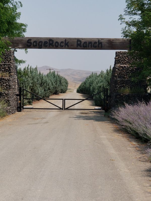 A July 2021 ride in