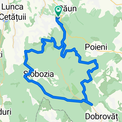 releu-dobrovat