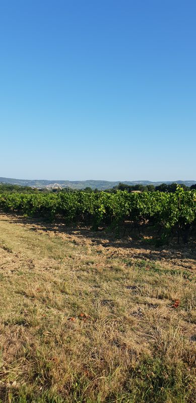 De Route de Bouchet 879, Visan à Route de Bouchet 879, Visan