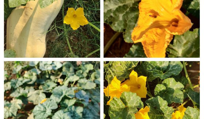 Foto 1 der Bikemap-Route "בורוכוב 14, הוד השרון to ארלוזורוב 22, הוד השרון"