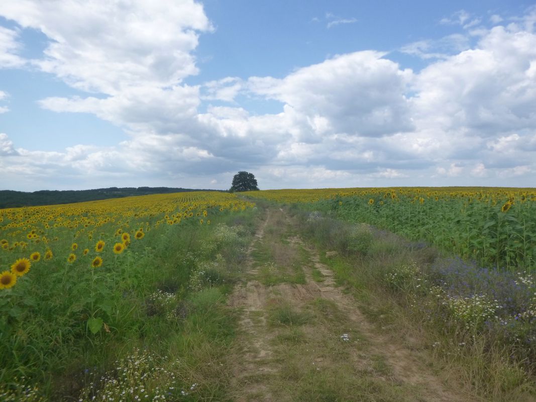 с. Шкорпиловци - Карадере - с. Самотино