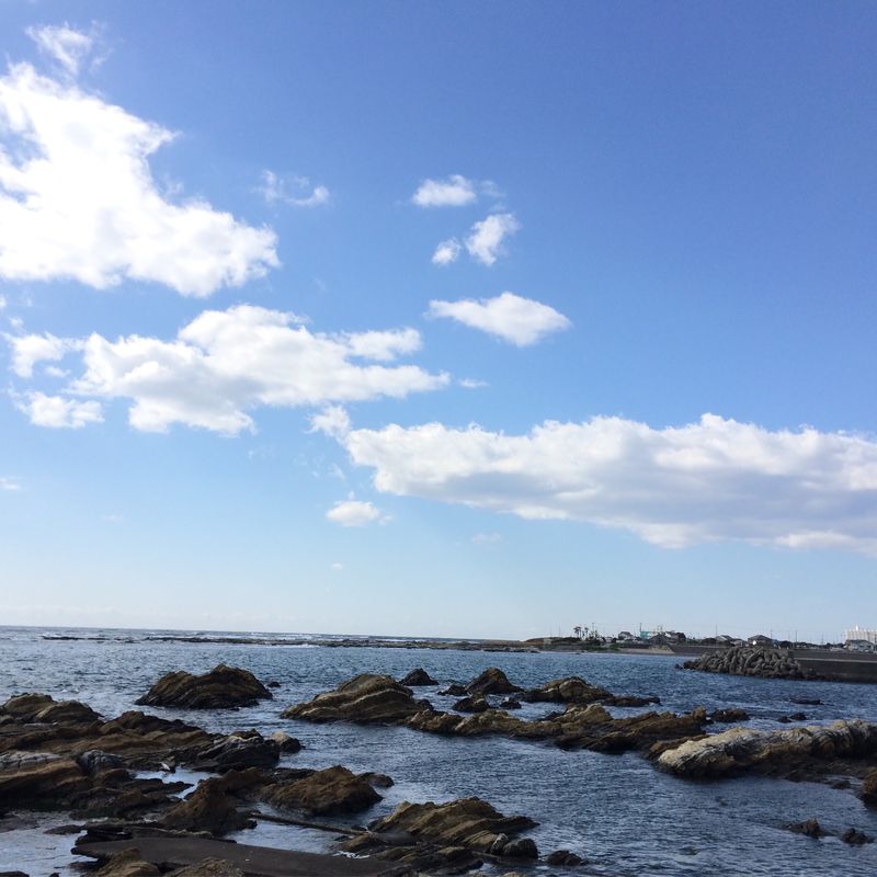 南房総“菜の花サイクリング"