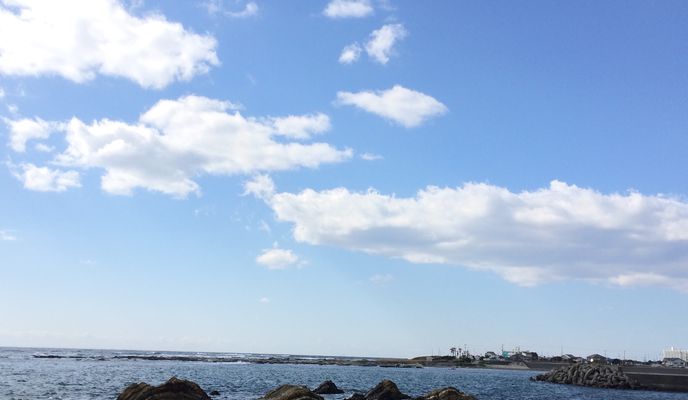 Photo 2 of the Bikemap route "南房総“菜の花サイクリング""