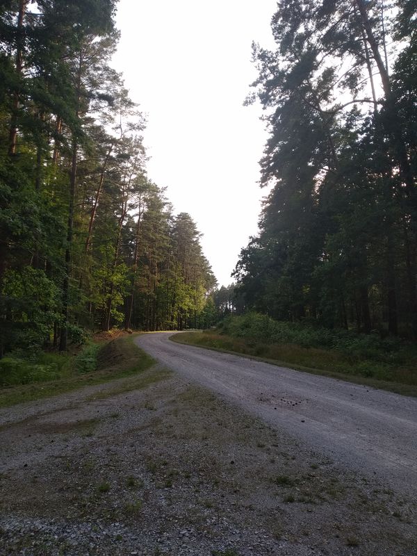 Kopulok Kruk Kilińskiego