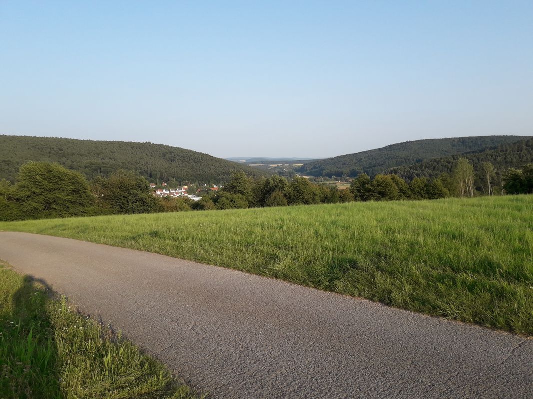 Königswald-Holzberg, Mömlingen