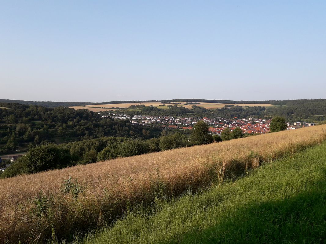 Königswald-Holzberg, Mömlingen