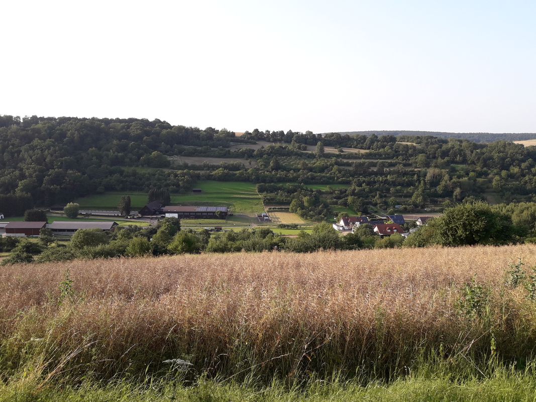 Königswald-Holzberg, Mömlingen