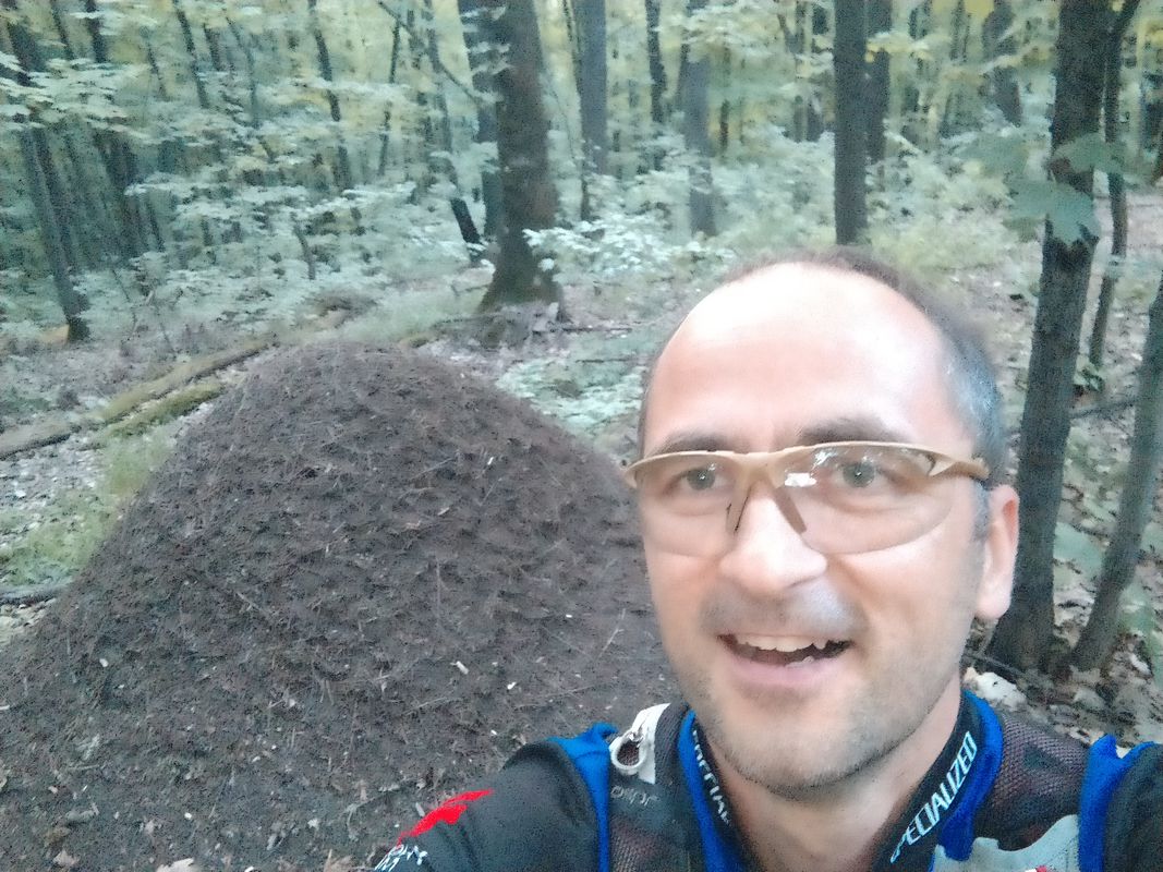 старая танковая дорога