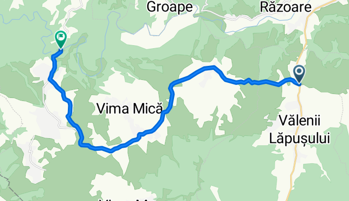 cheile lapusului salnita