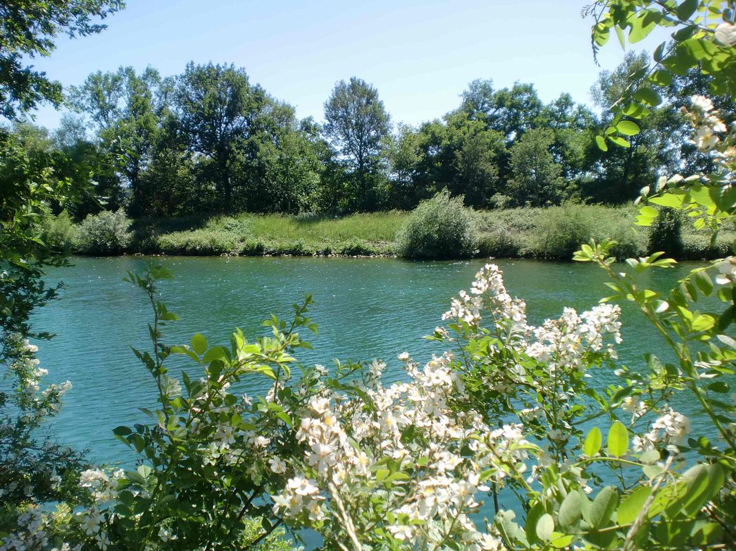 NR204: Rotbach, Rhein und Kanal