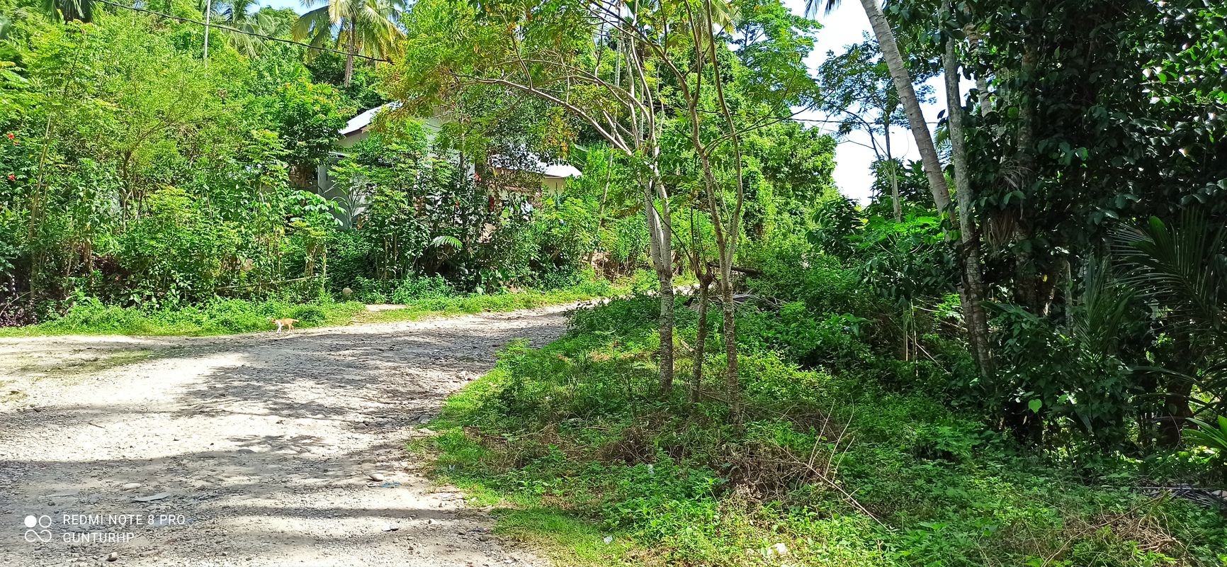 Jalan Professor A. Majid Ibrahim 4, Kota Juang to Jalan Professor A. Majid Ibrahim 4, Kota Juang