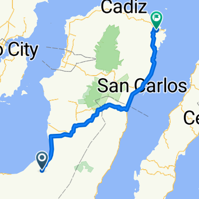 Repollo Street, Kabankalan to Escalante City