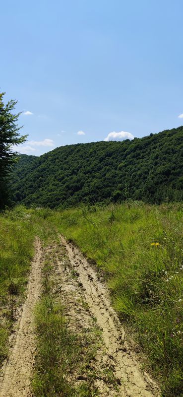 Cocorăștii Mislii-Bustenari